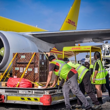 Balíky, aké svet nevidel!