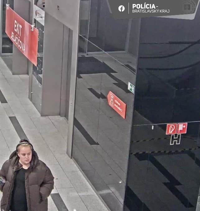 Polícia vyšetruje krádež olejomaľby v obchodnom centre v Bratislave.
