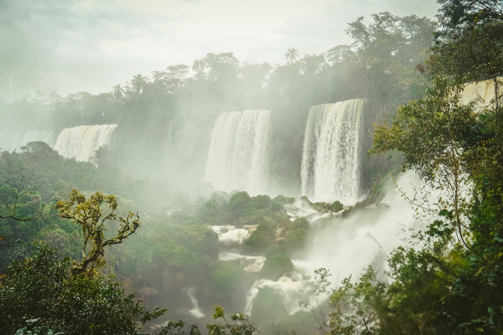 Timon Gaál fotografovanie miluje