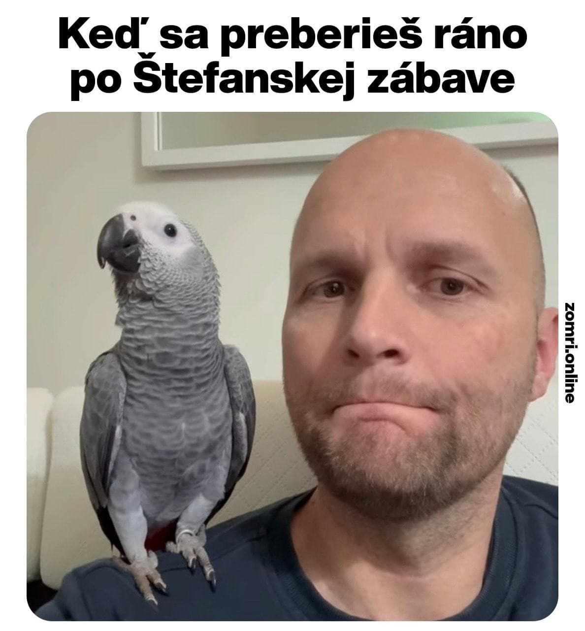 Vychutnajte si sviatočné memečká: