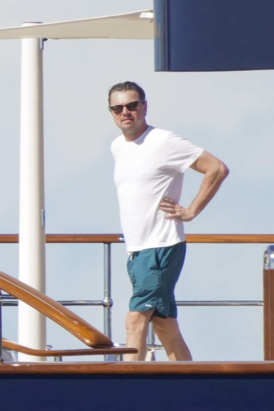Leonardo DiCaprio