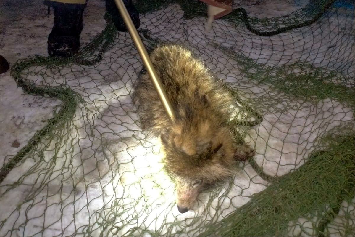 Myslela si, že zachránila