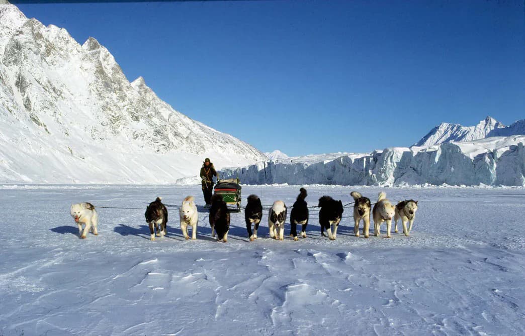 TOTO je elitná dánska