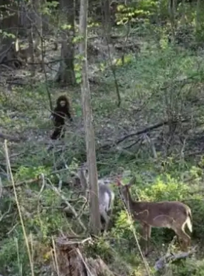 Nová FOTO vyvolala ošiaľ: