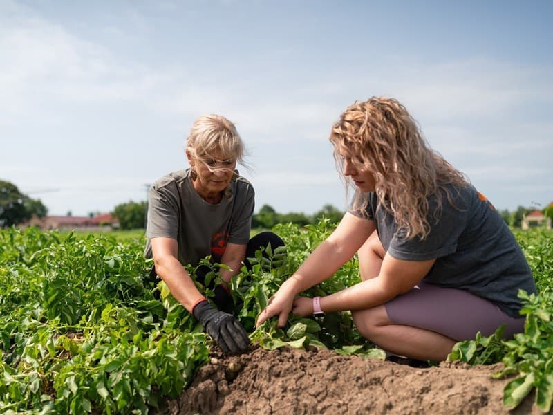 Kaufland podporuje slovenských pestovateľov už dlhé roky