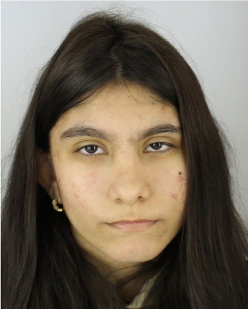 Na snímke nezvestná 15-ročná Sidónia Rácová z obce Višňové (okres Žilina), po ktorej vyhlásilo pátranie Okresné riaditeľstvo Policajného zboru v Žiline.