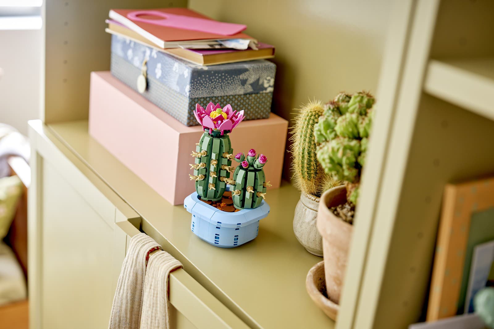 Nápady na darčeky na