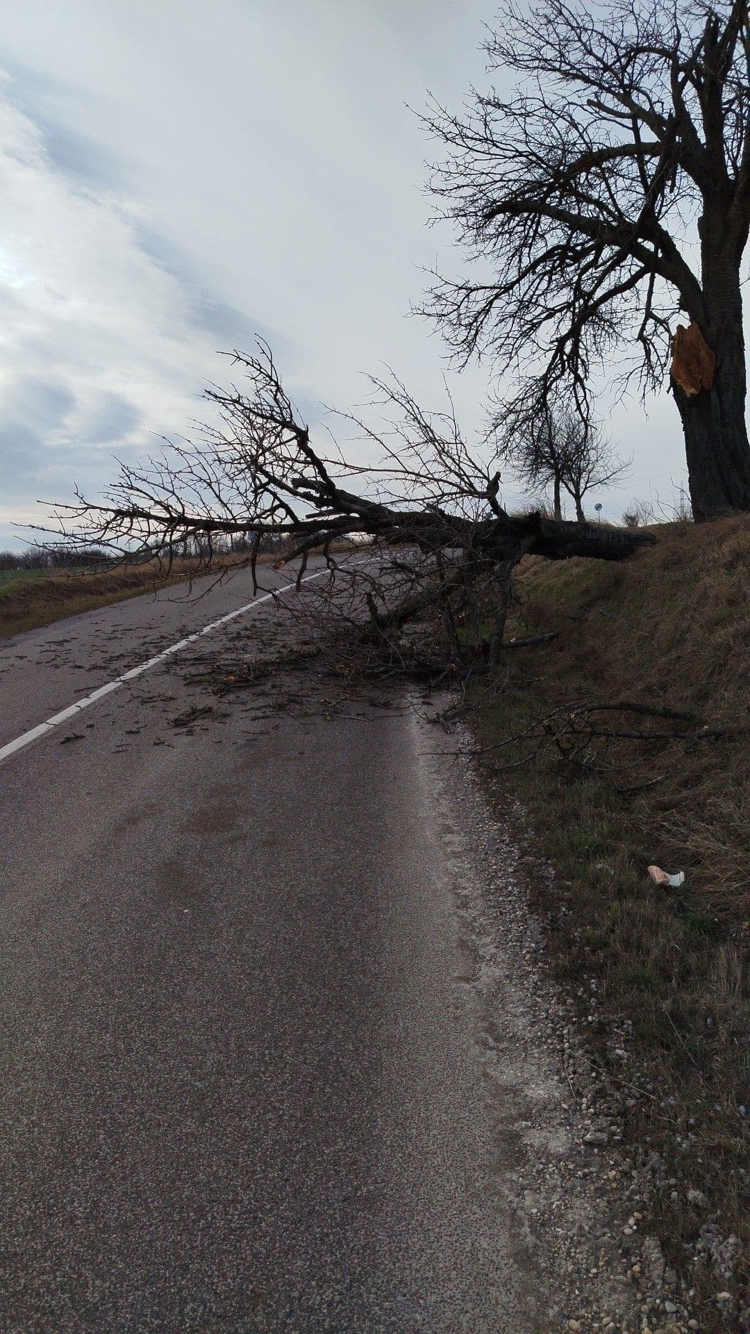Slovensko bičuje extrémny vietor: