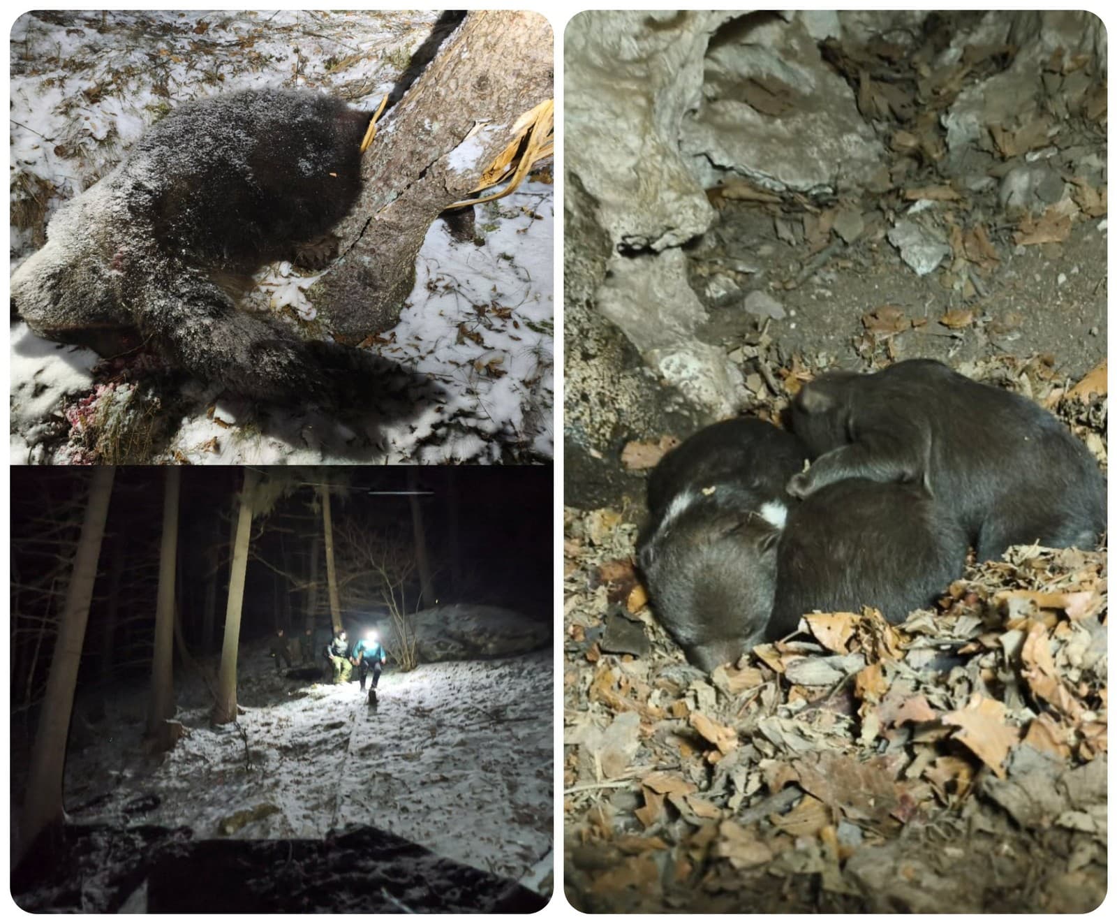 ZVRAT v prípade útoku