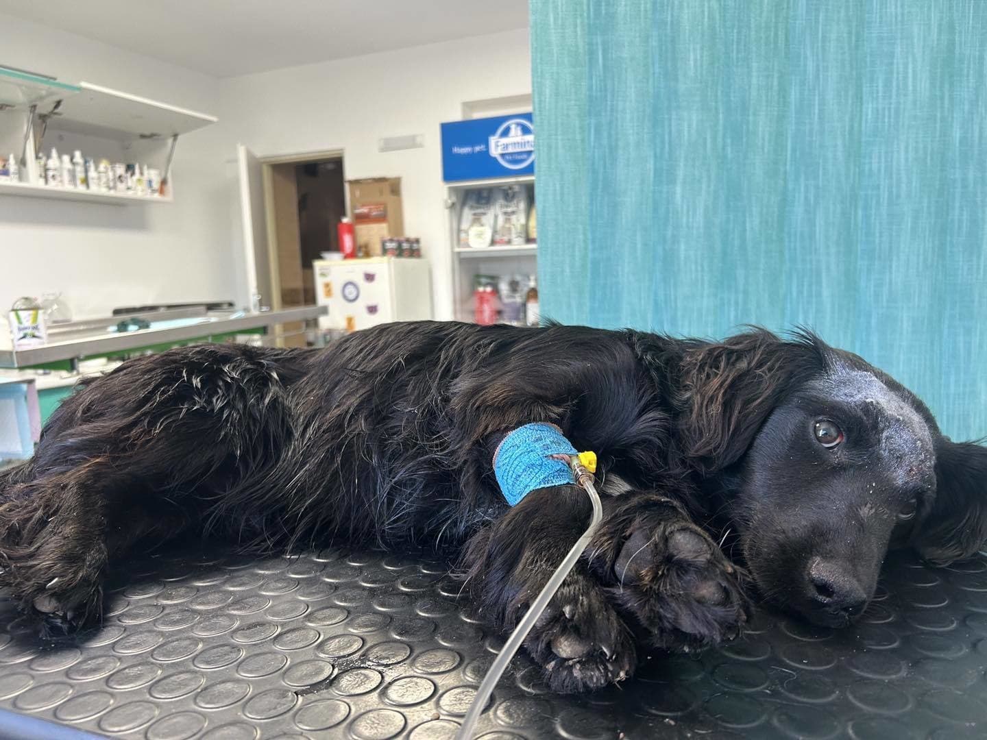 Súd odsúdil 73-ročného muža