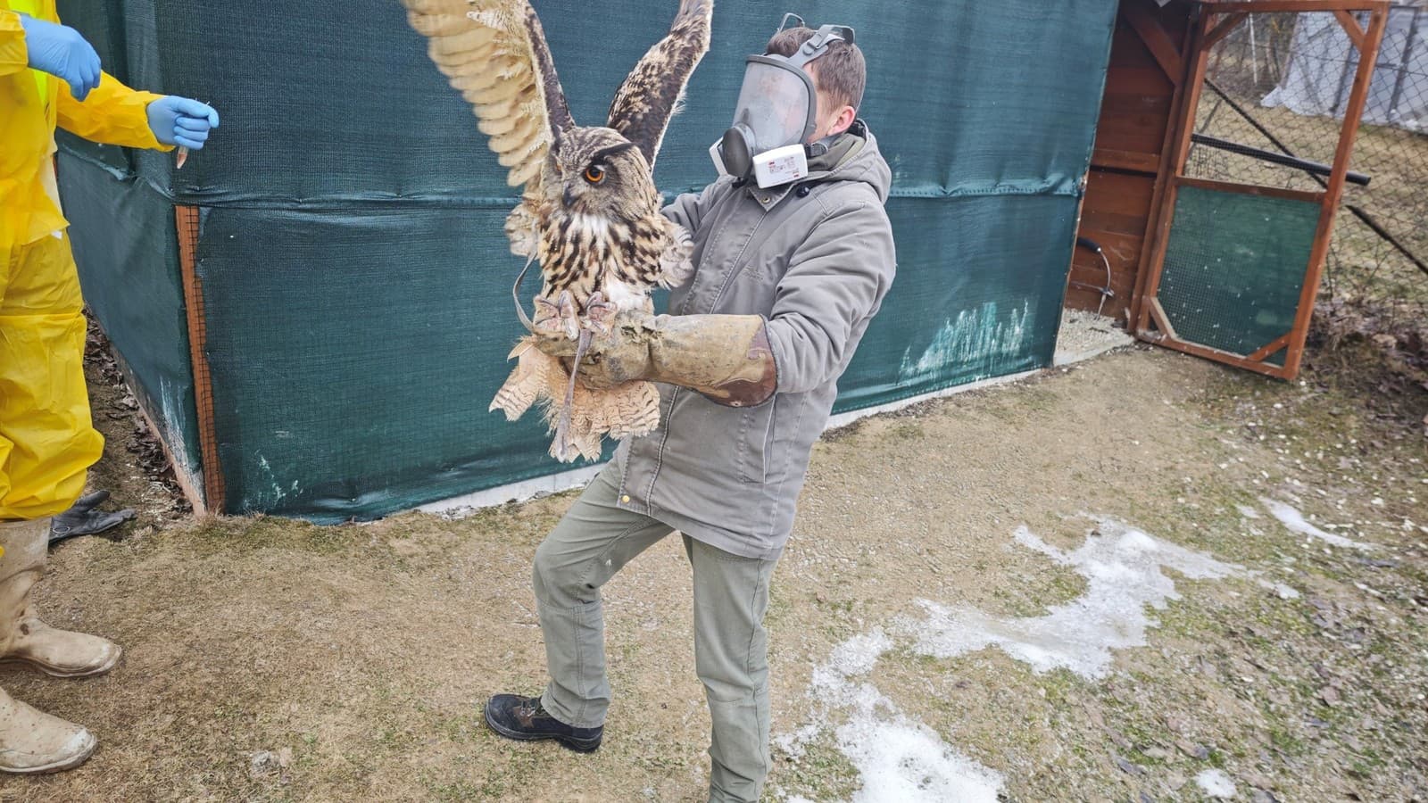 Ohnisko vtáčej chrípky v