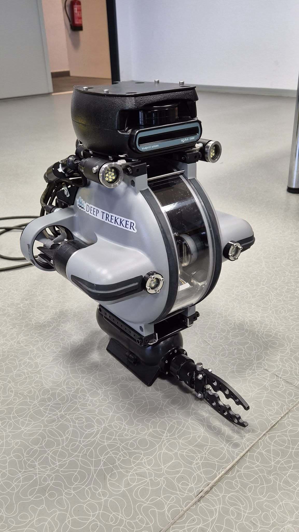 AKTUÁLNE Veľká záchranná akcia