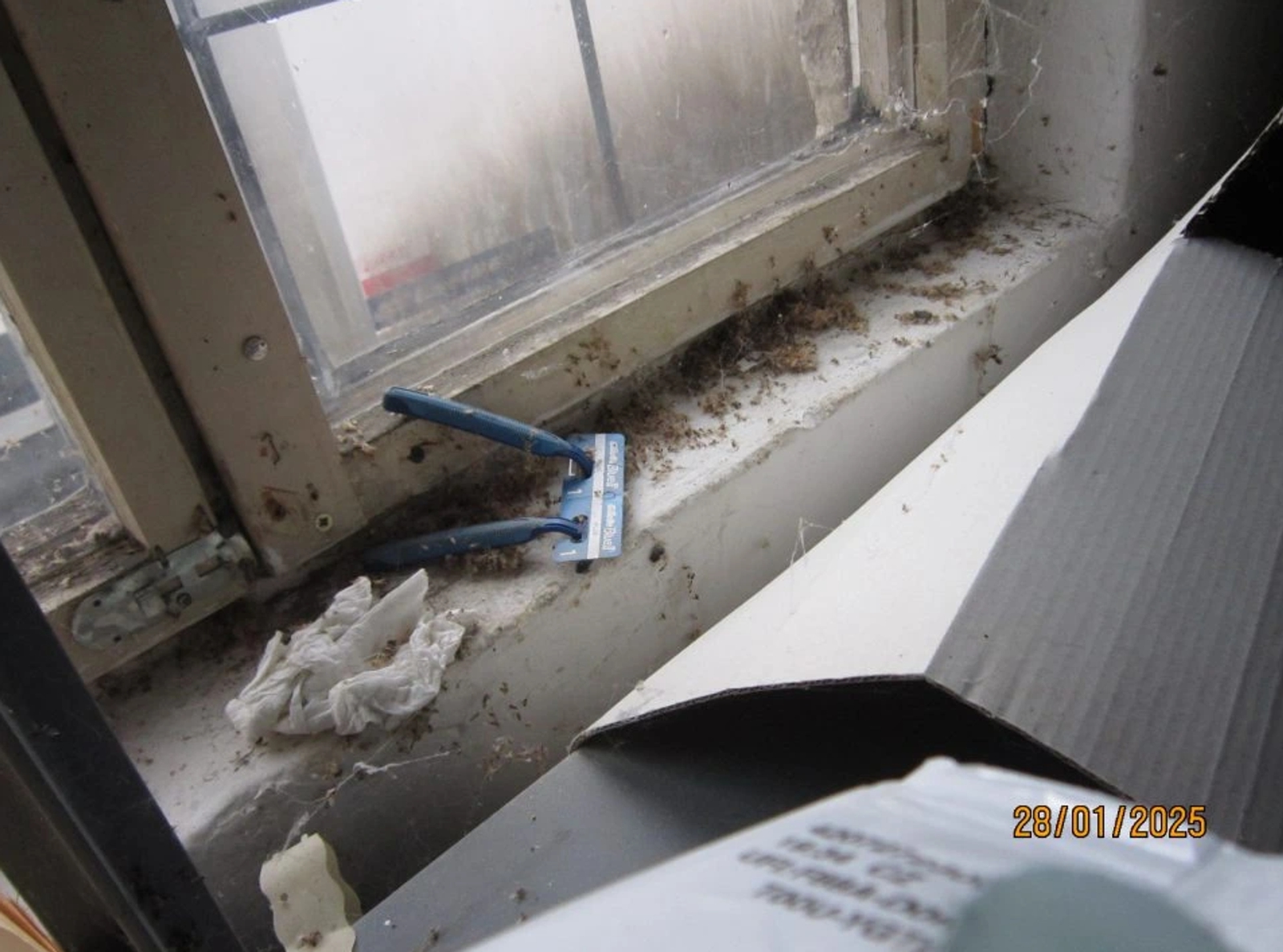 Z týchto záberov vám