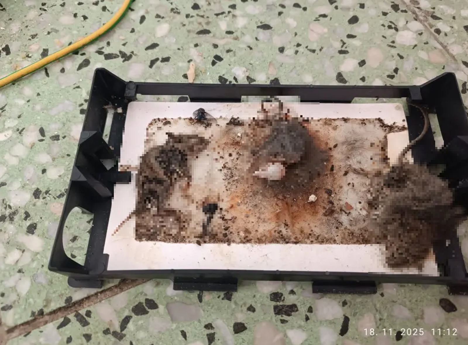 Z týchto záberov vám