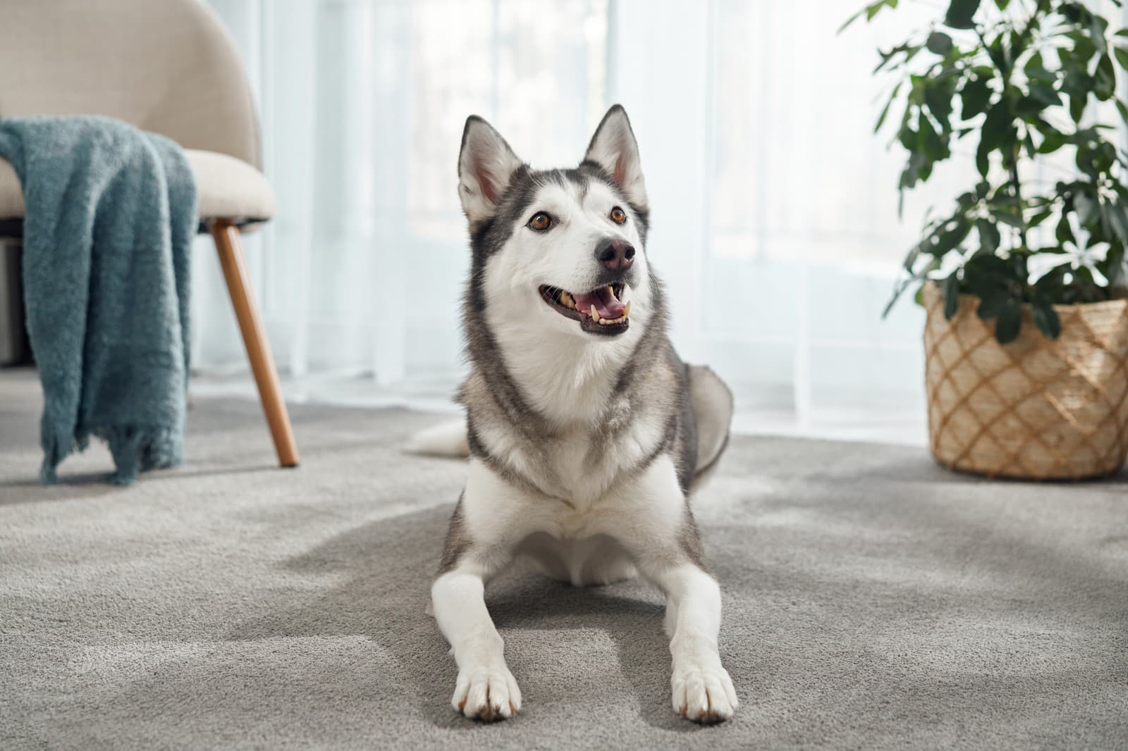 Roky bol AGRESÍVNY kvôli