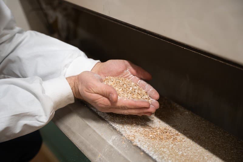 V Kolárove sa melie obilie vypestované na Žitnom ostrove.
