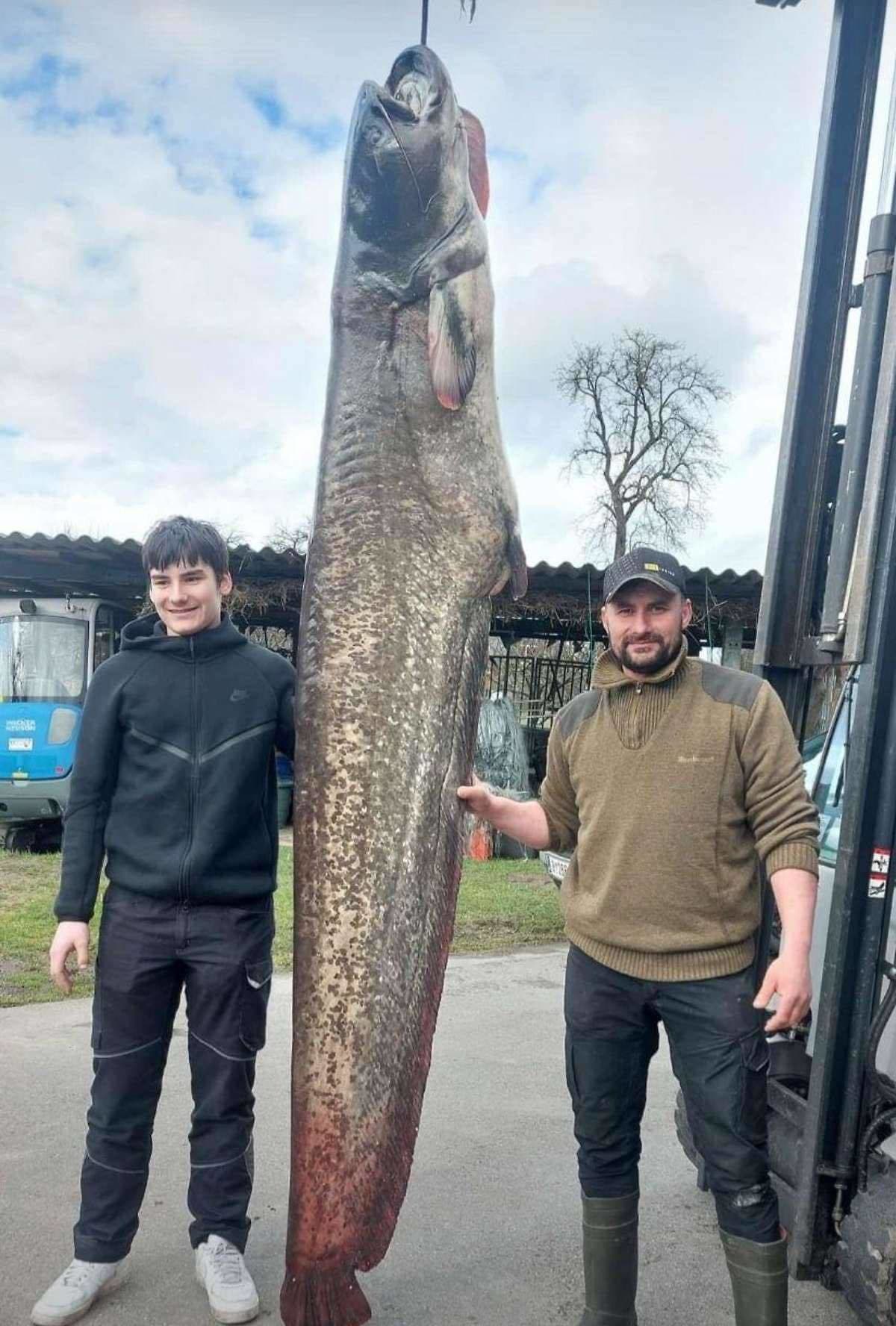 Obrovský úlovok v Bodamskom jazere!