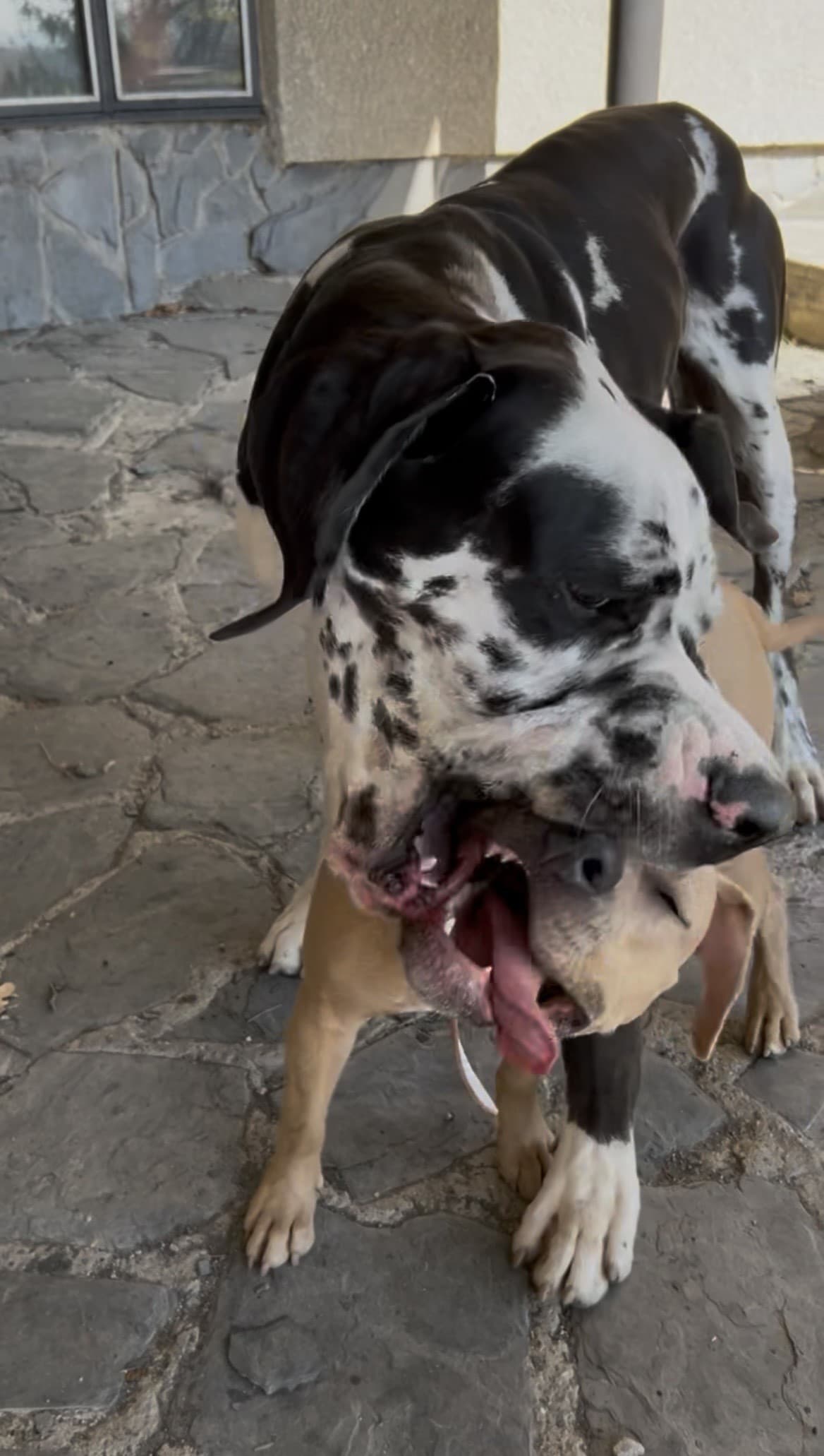 Barbora Piešová a Jerguš