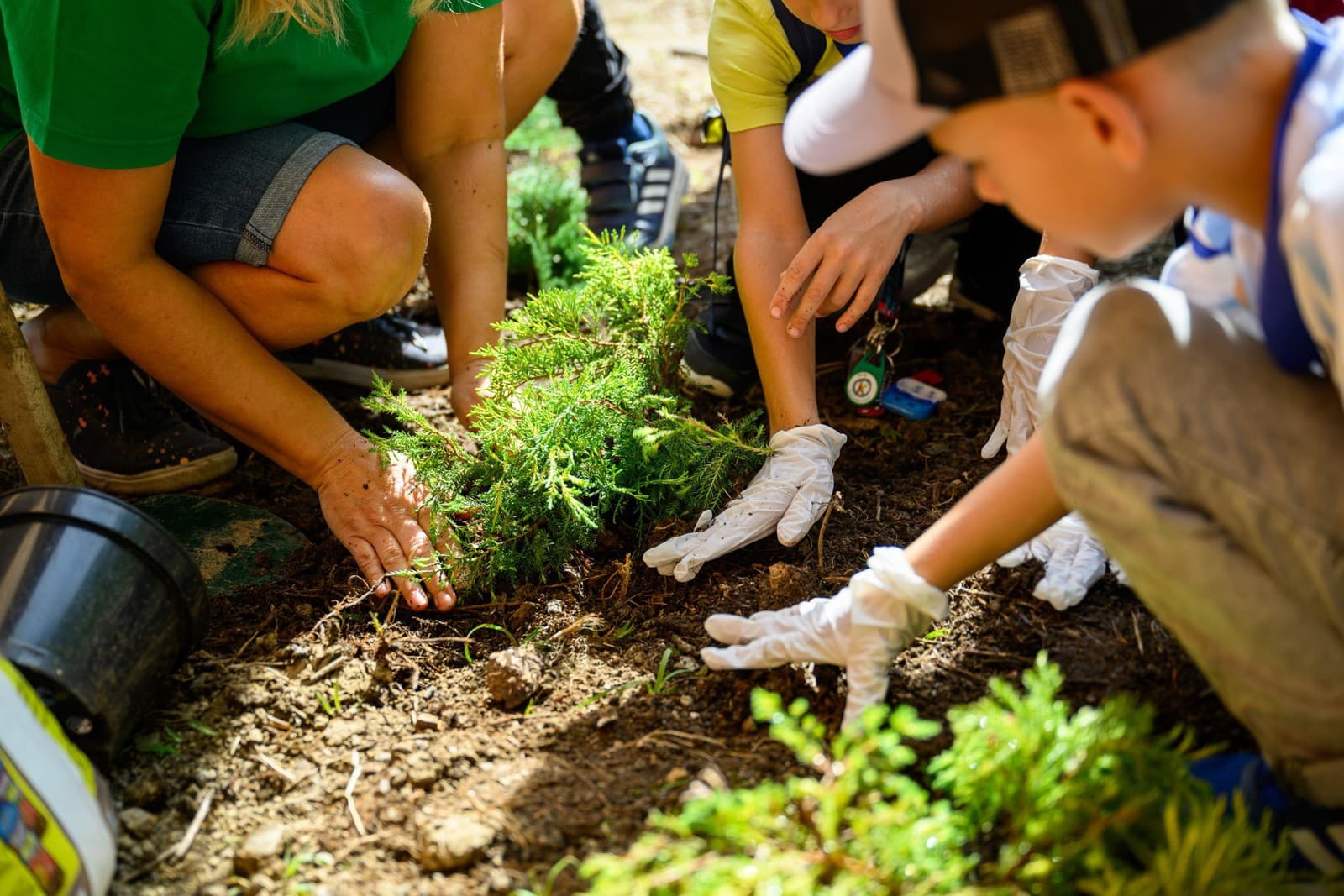 Celoeurópska iniciatíva dm drogerie