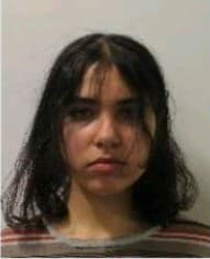 Polícia pátra v spolupráci s Interpolom po Sophie Arielle Herman z Veľkej Británie.