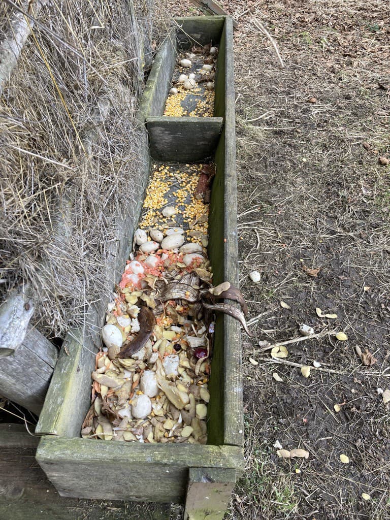 Časovaná bomba?! V rizikovej