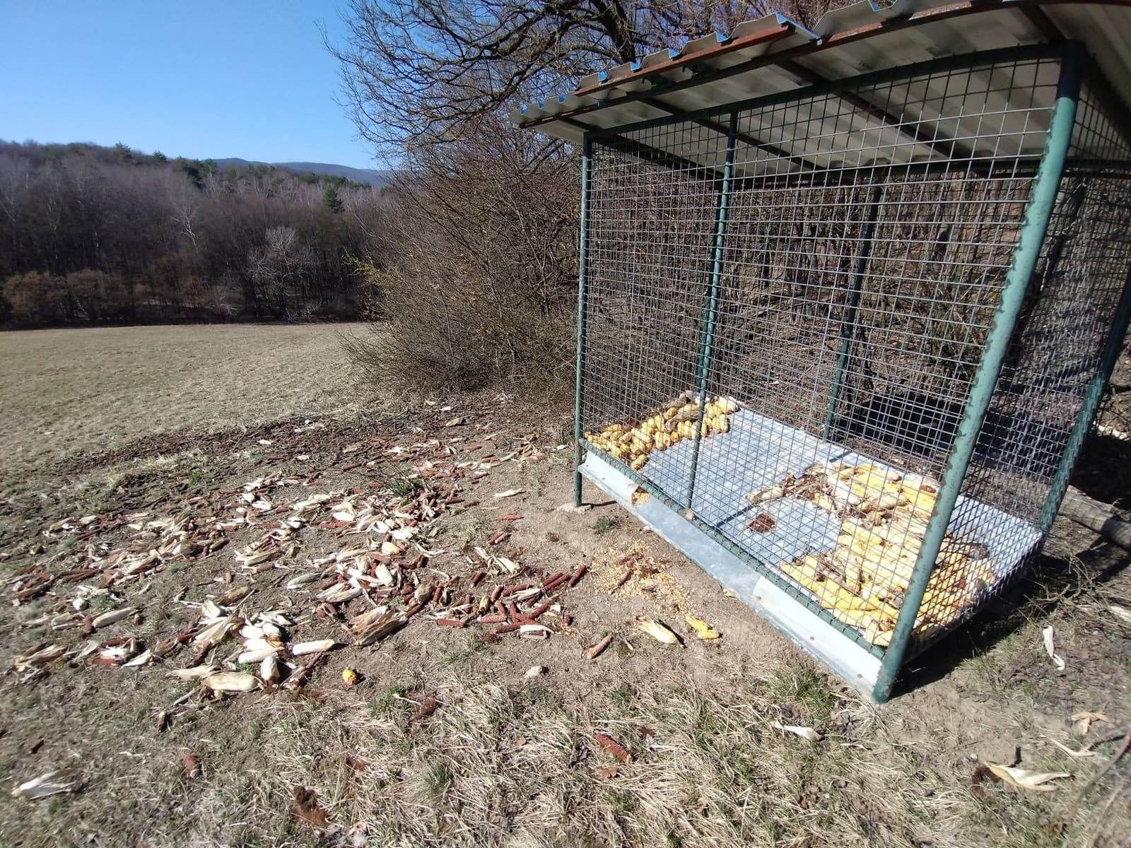 Časovaná bomba?! V rizikovej