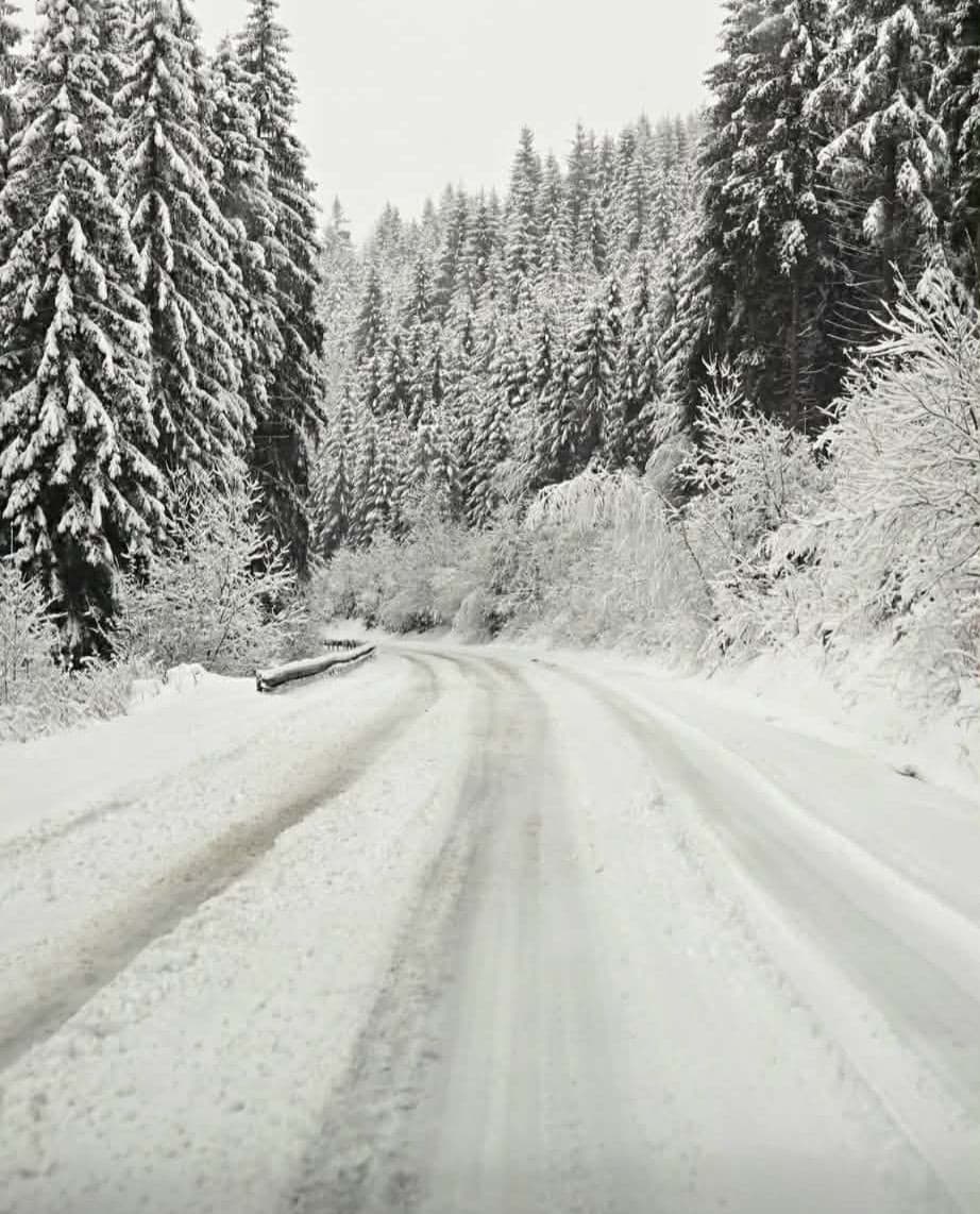 AKTU&Aacute;LNE Sneženie komplikuje dopravu!