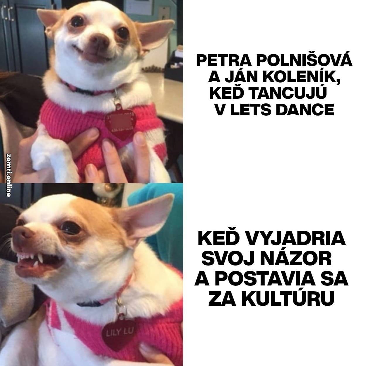 Fenomén SŠA a let