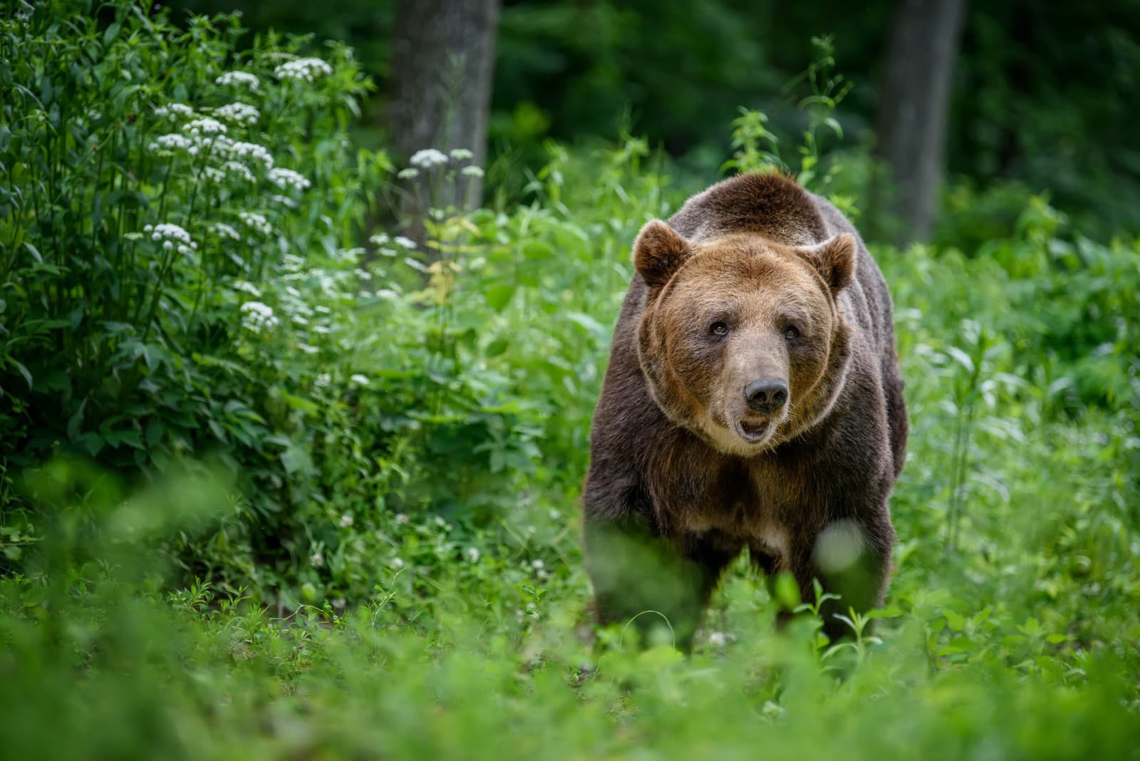 TURISTI, majte sa na