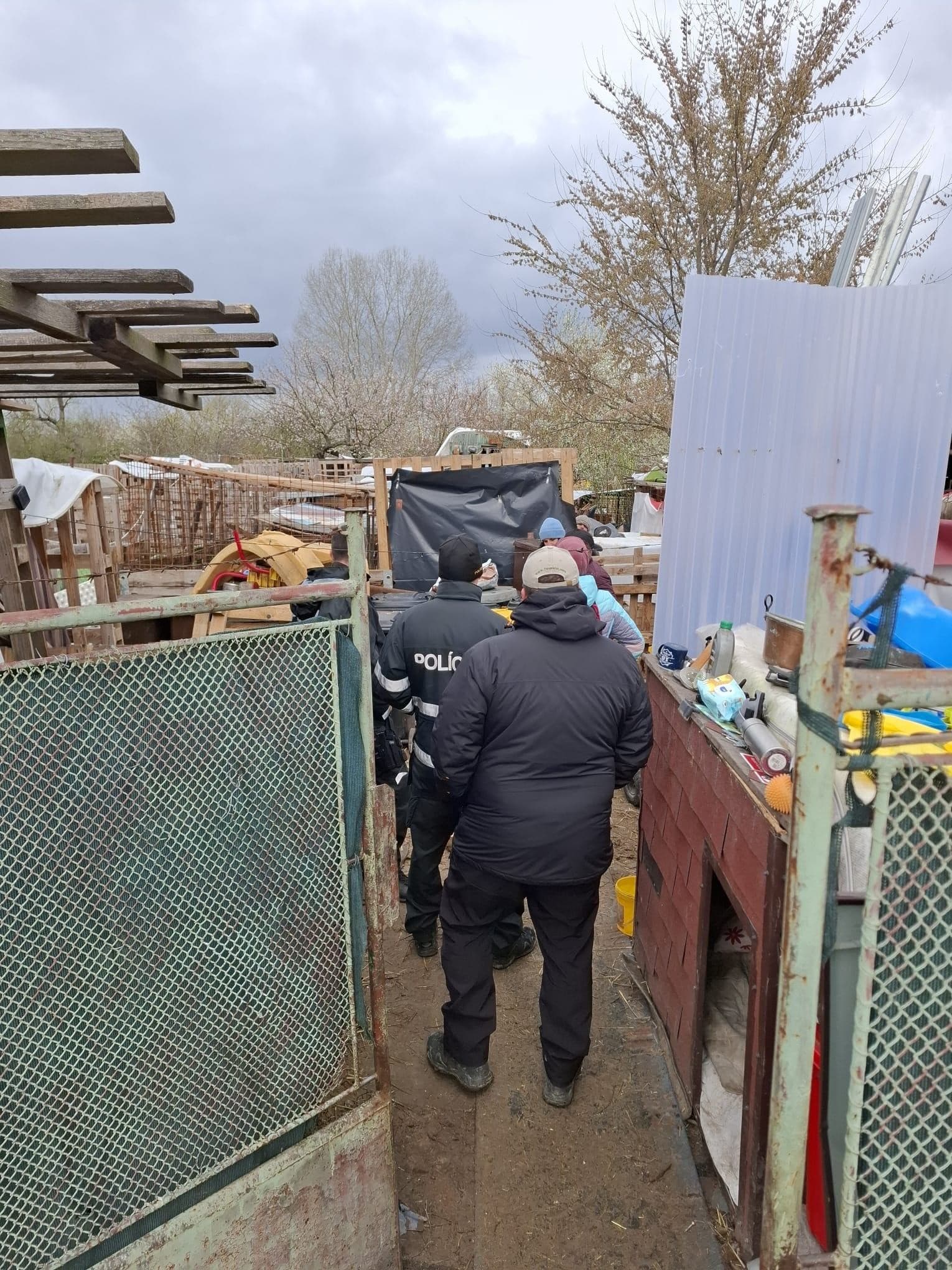 V blate, vychudnuté a