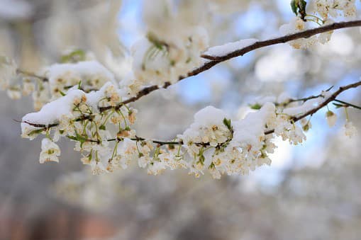 DESIVÁ predpoveď počasia: Slnečné