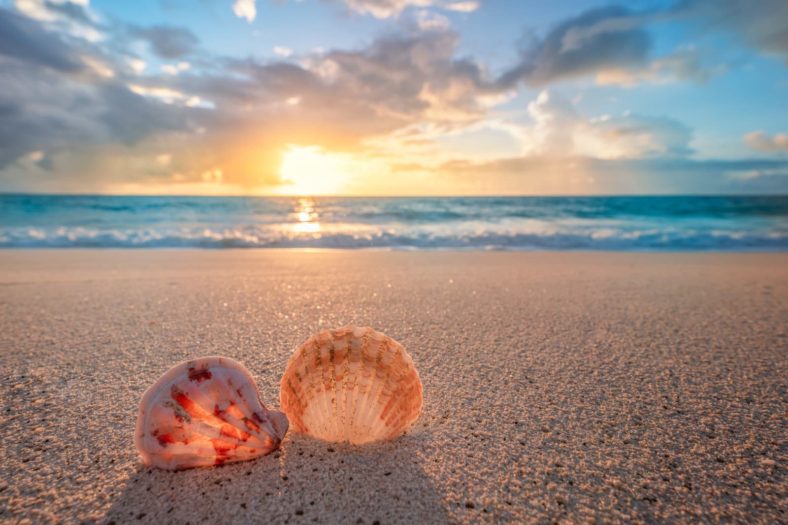 Sekundy od TRAGÉDIE v