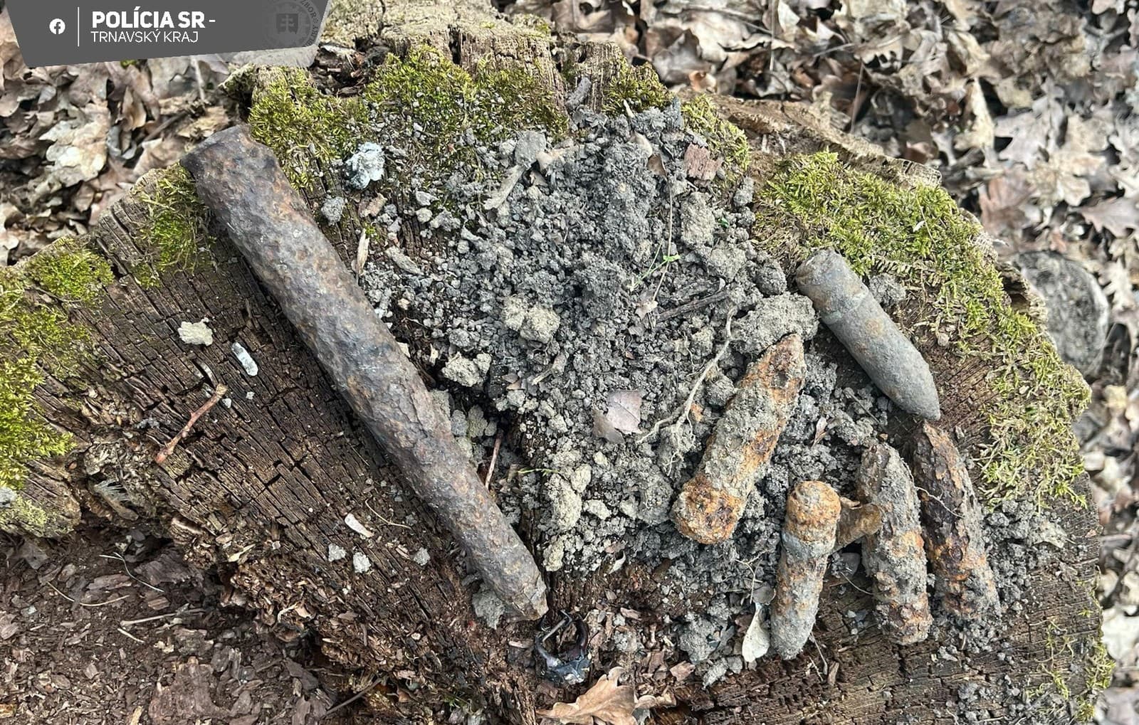 To asi nečakala! Žena