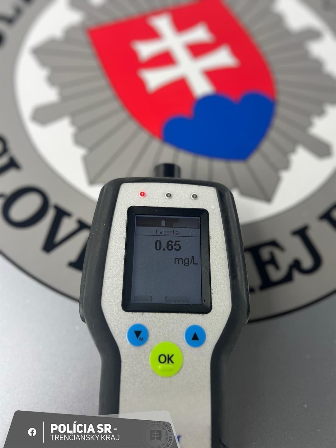 Vodič na D1 šoféroval