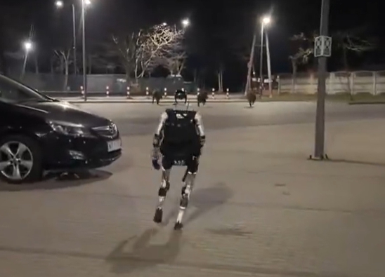 Humanoid naháňal diviaky!