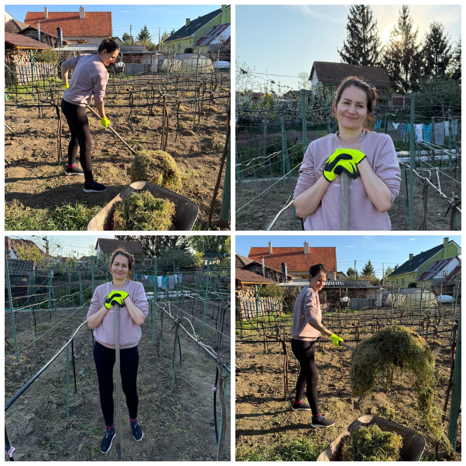 Bajo Holečková z SaS