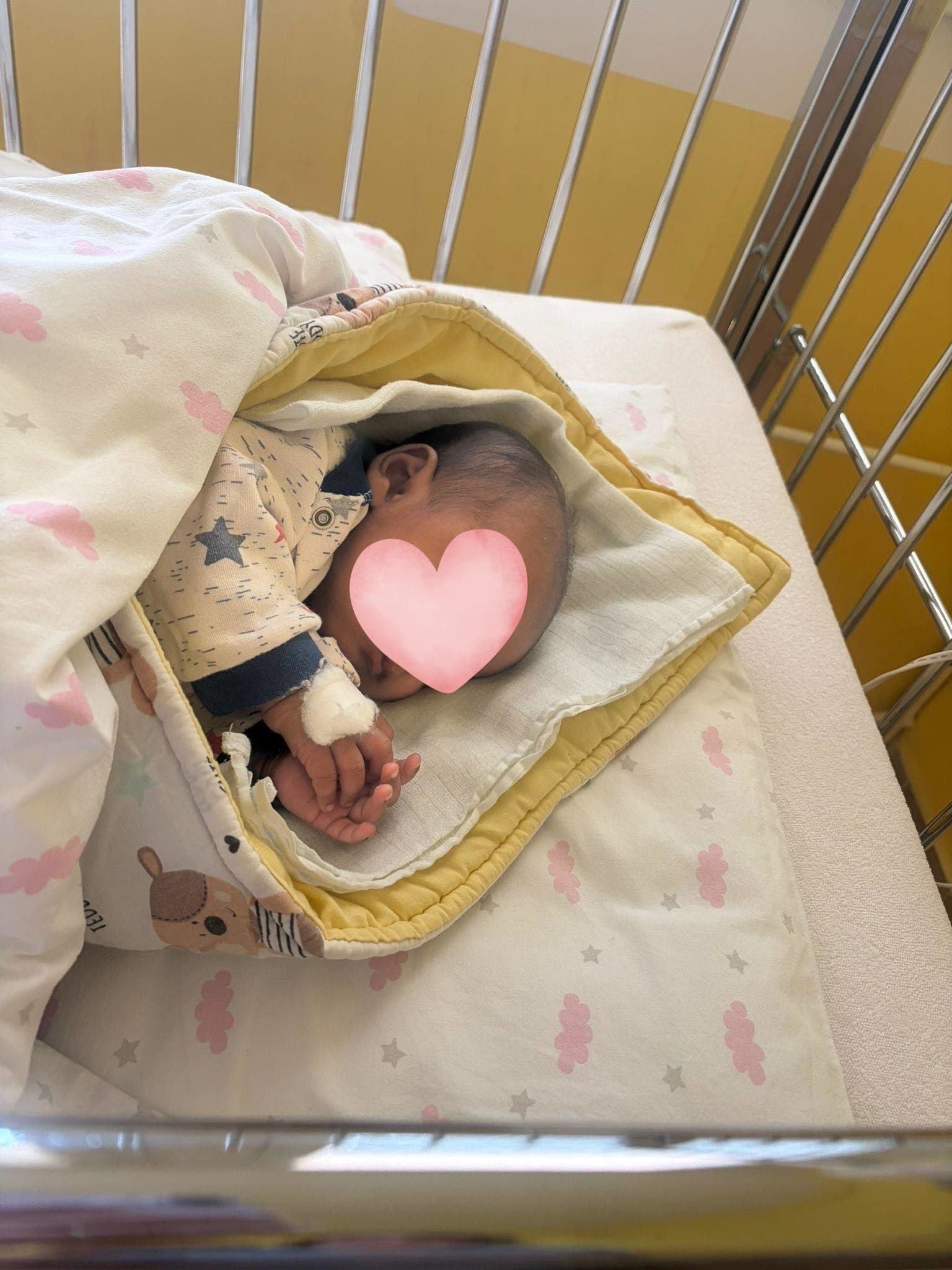 V hniezde záchrany v