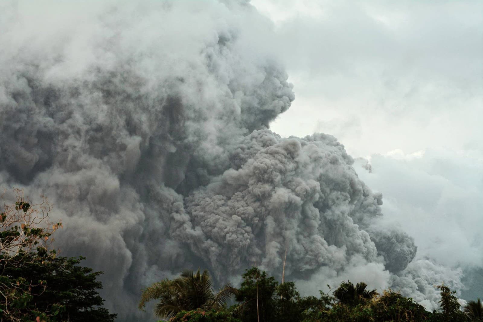 sopka Mayon