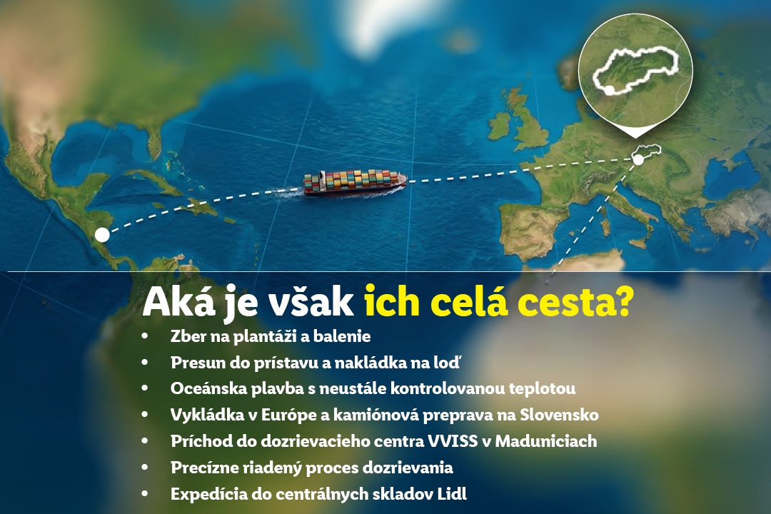 Tajomstvo čerstvosti banánov z