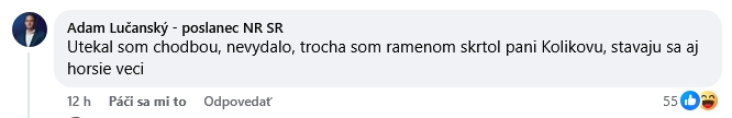 DRÁMA v parlamente: Kolíkovú