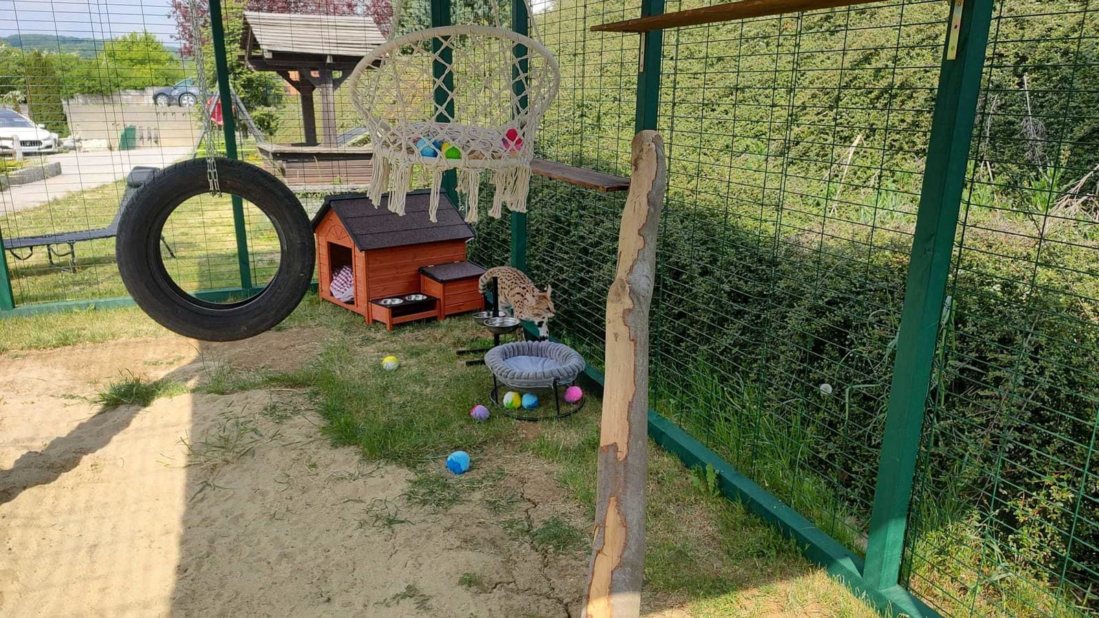 Veterinárni inšpektori v ŠOKU:
