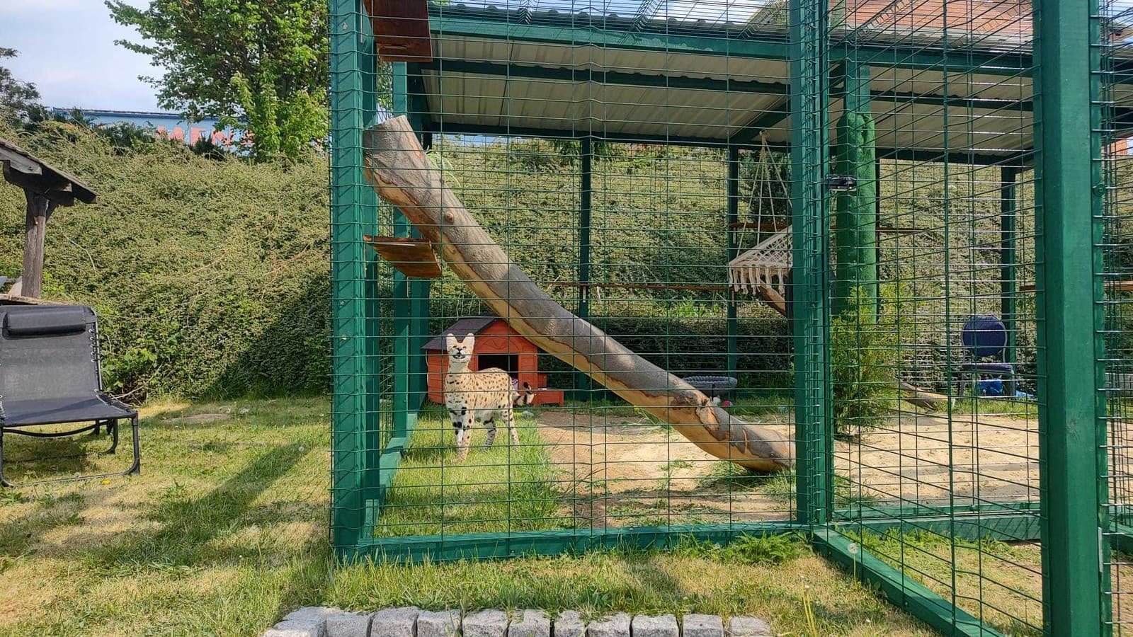 Veterinárni inšpektori v ŠOKU:
