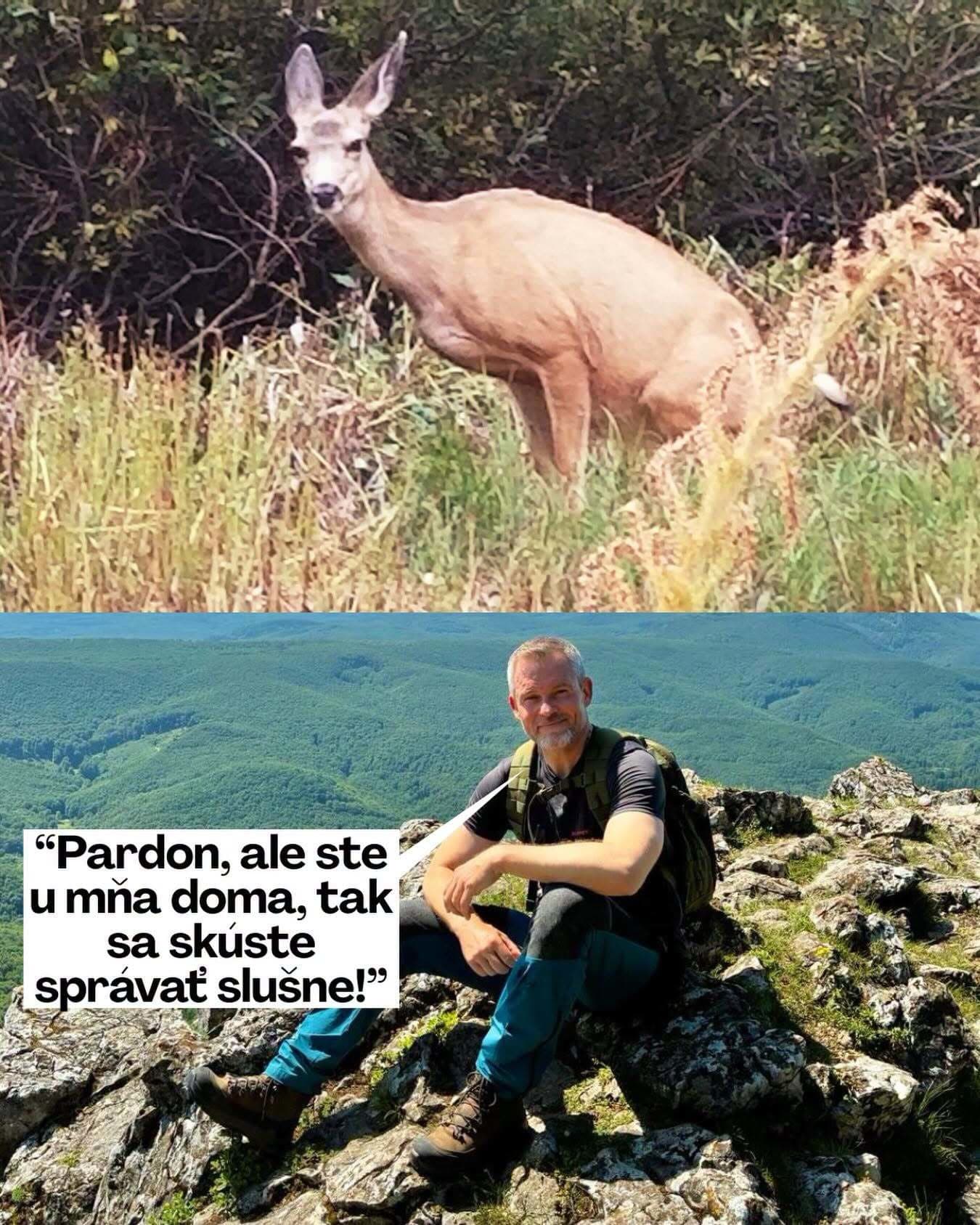 MEME stránky si vystrelili