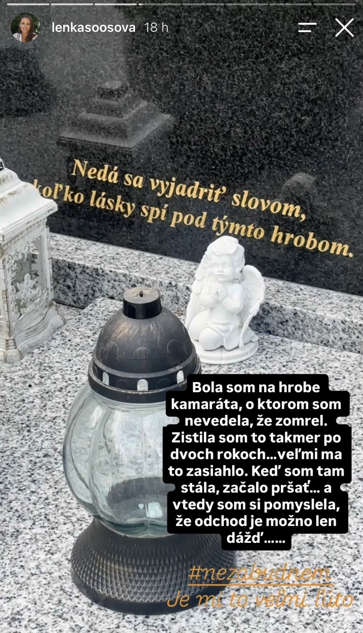 Šóošovej obrovský smútok: Zomrel