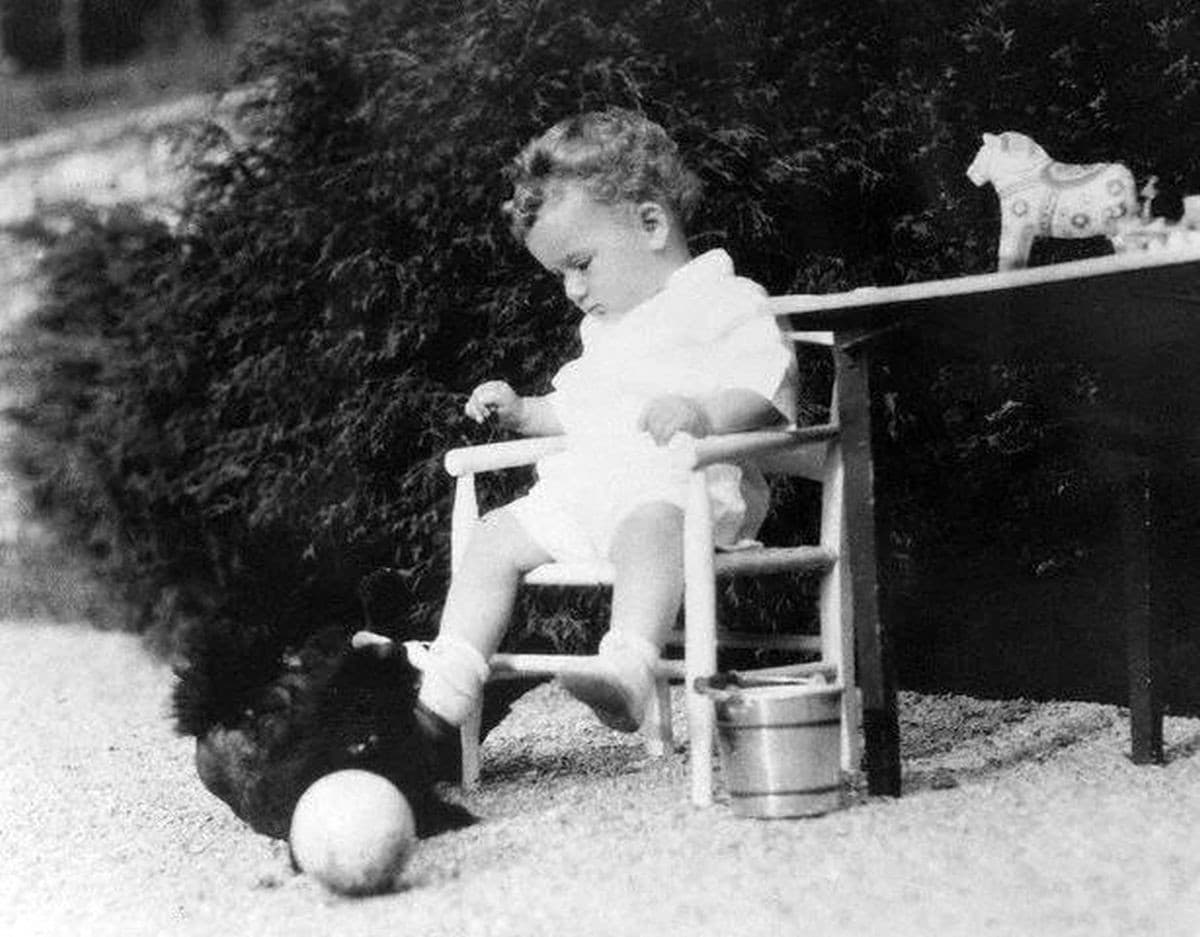 Charles Lindbergh junior