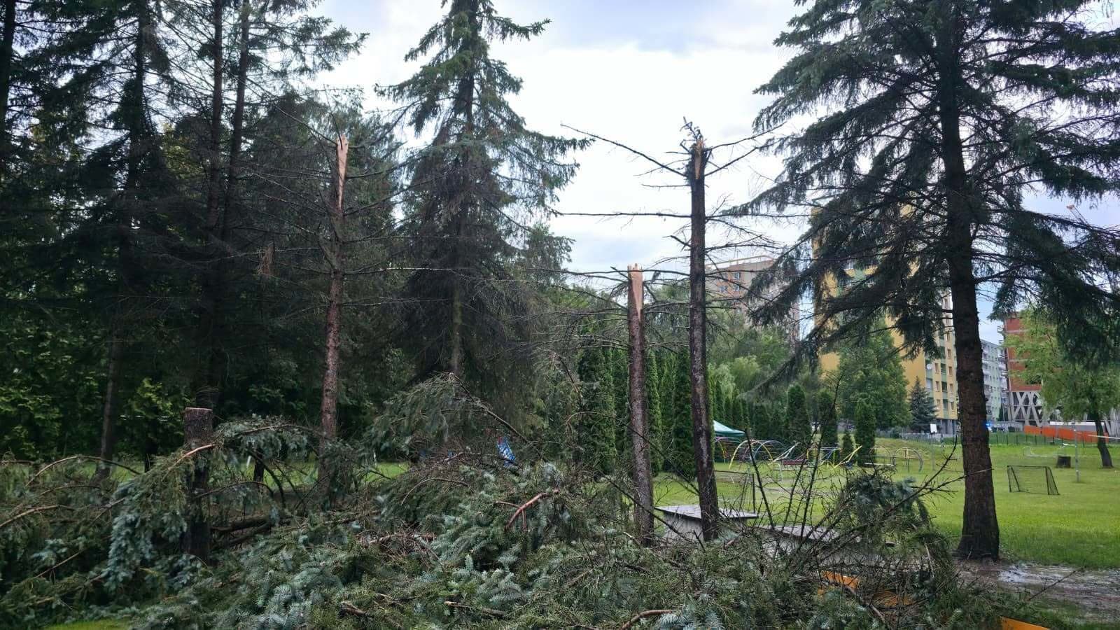 Polámané a popadané stromy zanechala po sebe búrka vo Farskej záhrade v Prešove