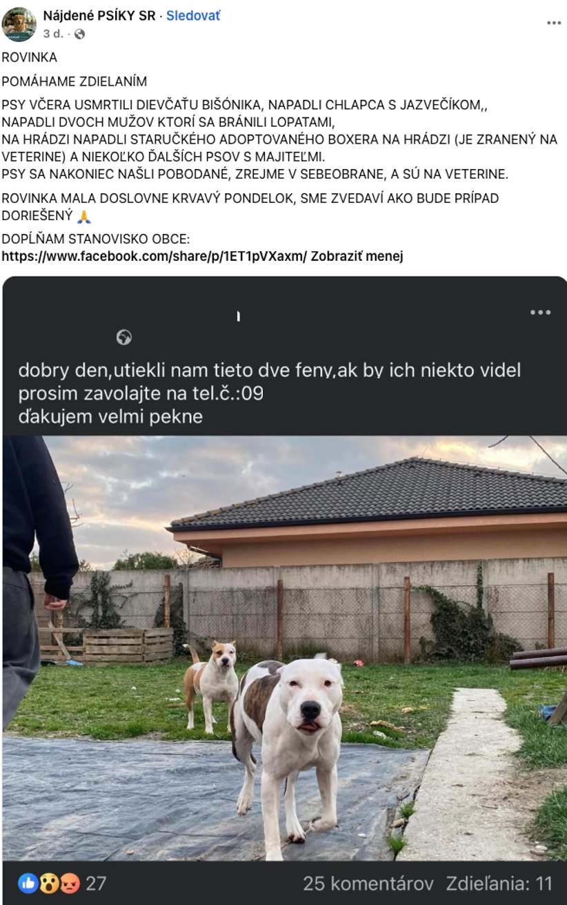 Krvavý incident pri Bratislave: