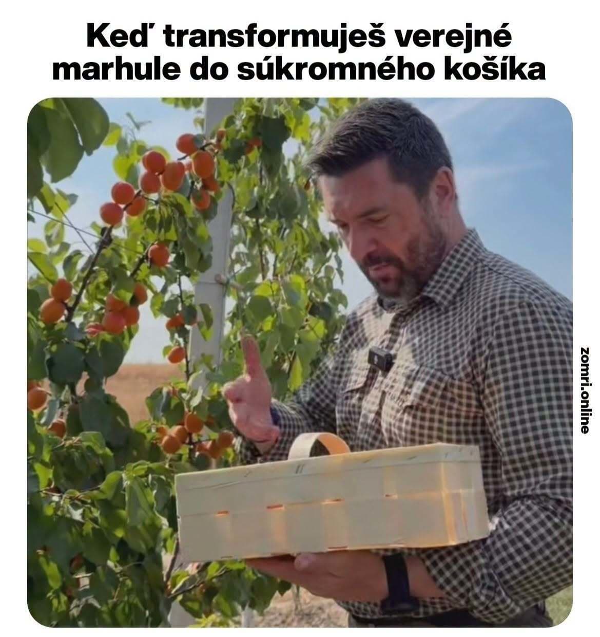 MEMEčkári sa opäť utrhli