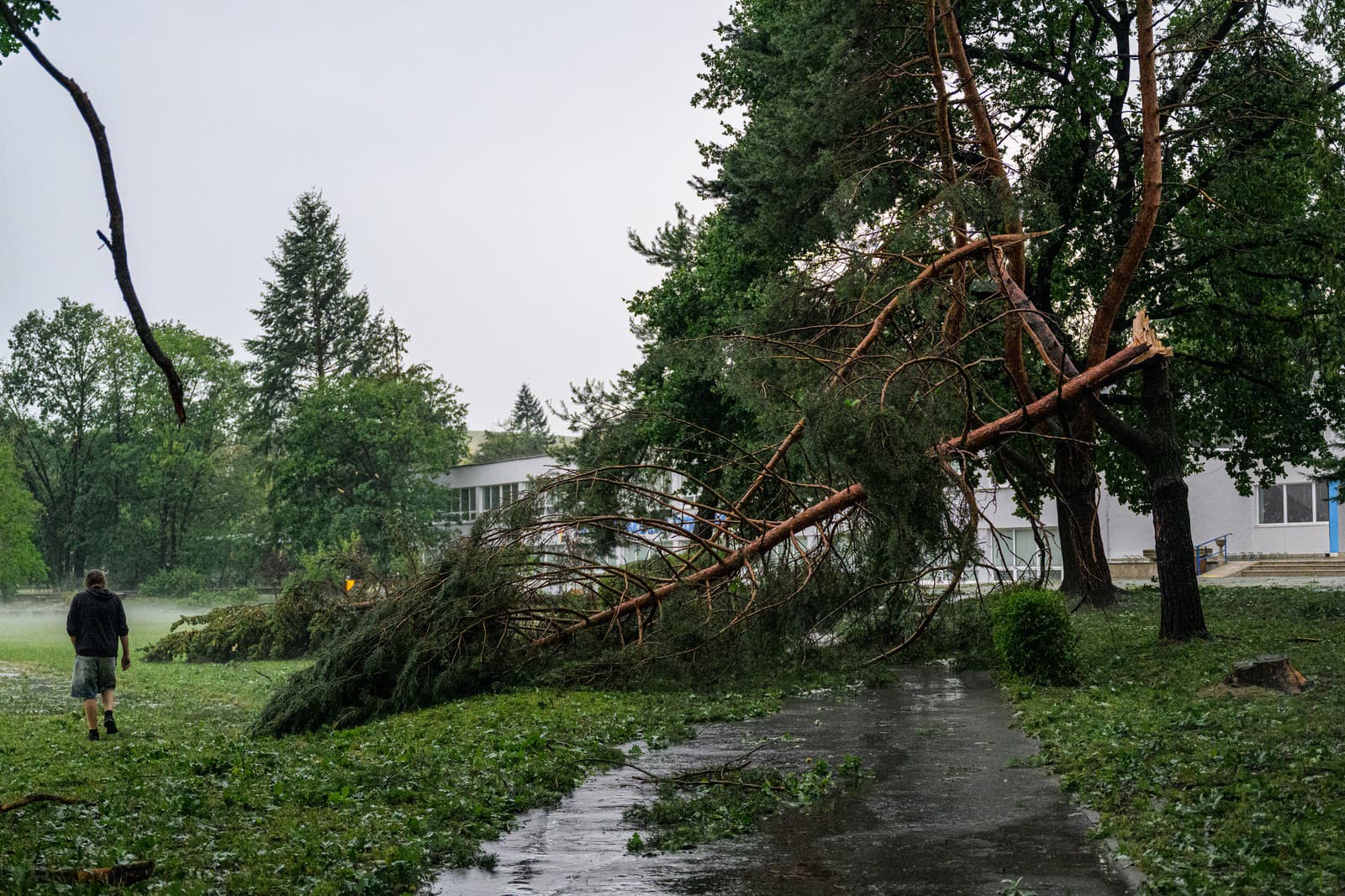 Zlomený strom po silnej búrke na Mukačevskej ulici v Prešove.