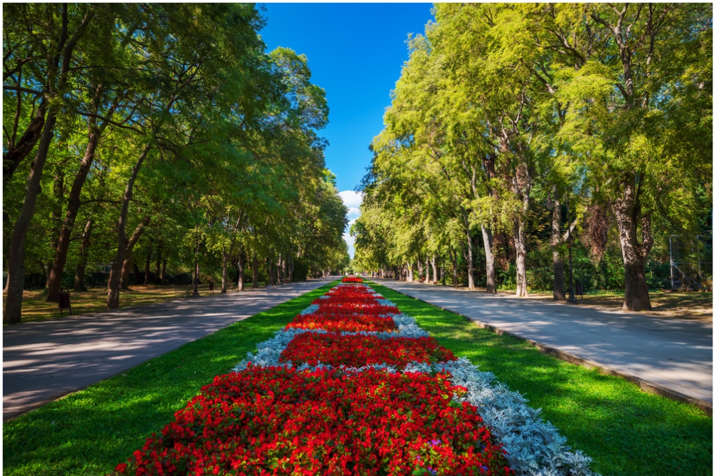 Park Morská záhrada je príjemným miestom na prechádzku v blízkosti pláží. 